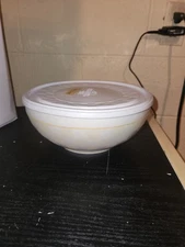 The Pampered Chef Chillzanne Freeze Serve Bowl w/ Lid