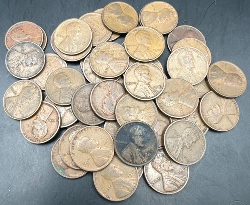 FULL Roll of 1919 P Lincoln Wheat Cent Pennies 50 Coins