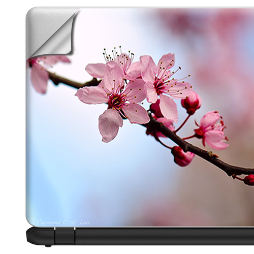 Universal Laptop Skins Wrap für 15" - Kirschblüten - Bild 3 von 7