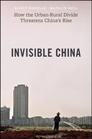 Invisible China | How The Urban-Rural Divide Threatens China's Rise | Buch