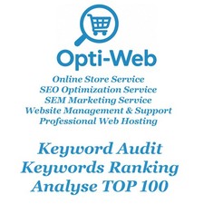 Keyword Audit Find Analyse All Your Keywords Ranking in Google TOP 100