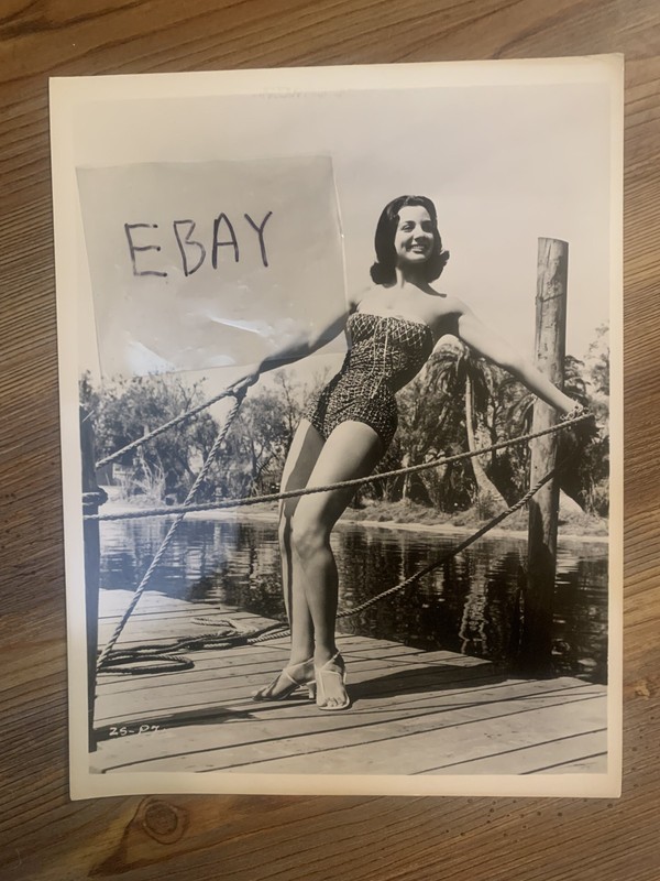 Sexy Leggy Cheesecake Ziva Rodann 8x10 Original Photo Busty Swimsuit