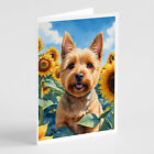 Norwich Terrier in Sunflowers Greeting Cards Envelopes Pk of 8 Dac6127Gca7P