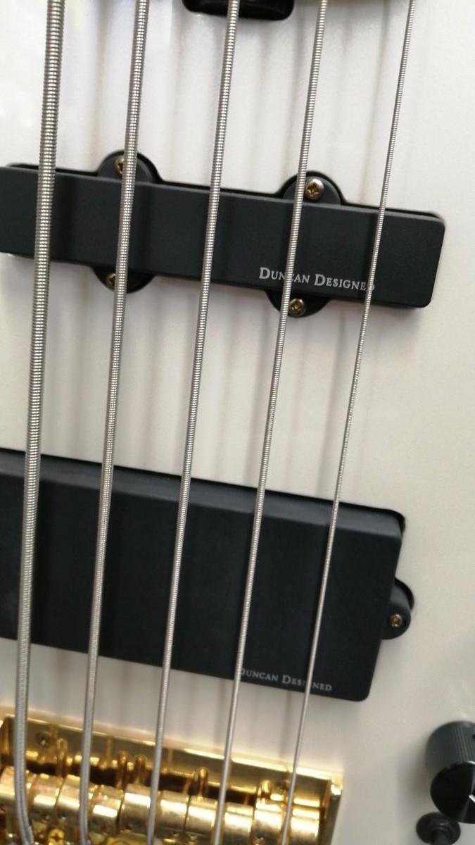Edwards E-Albion Tetsuya Electric Bass Hard Maple & Ash Body