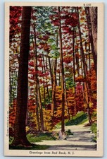 1940 Red Bank New Jersey NJ Vintage Postcard Greetings Forest Road Trees Street