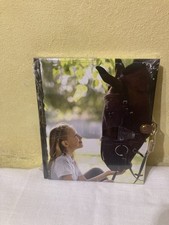 Tagebuch Wahre Freunde Mit Pferdemotiv Neu Mit Schloss