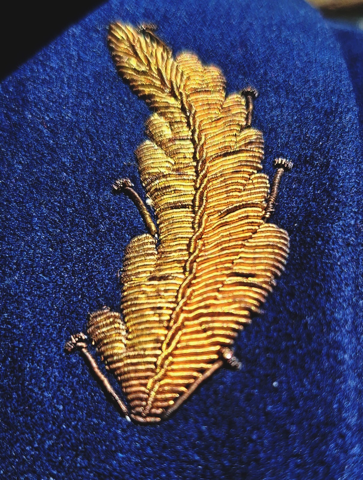 Picture 16 of 24