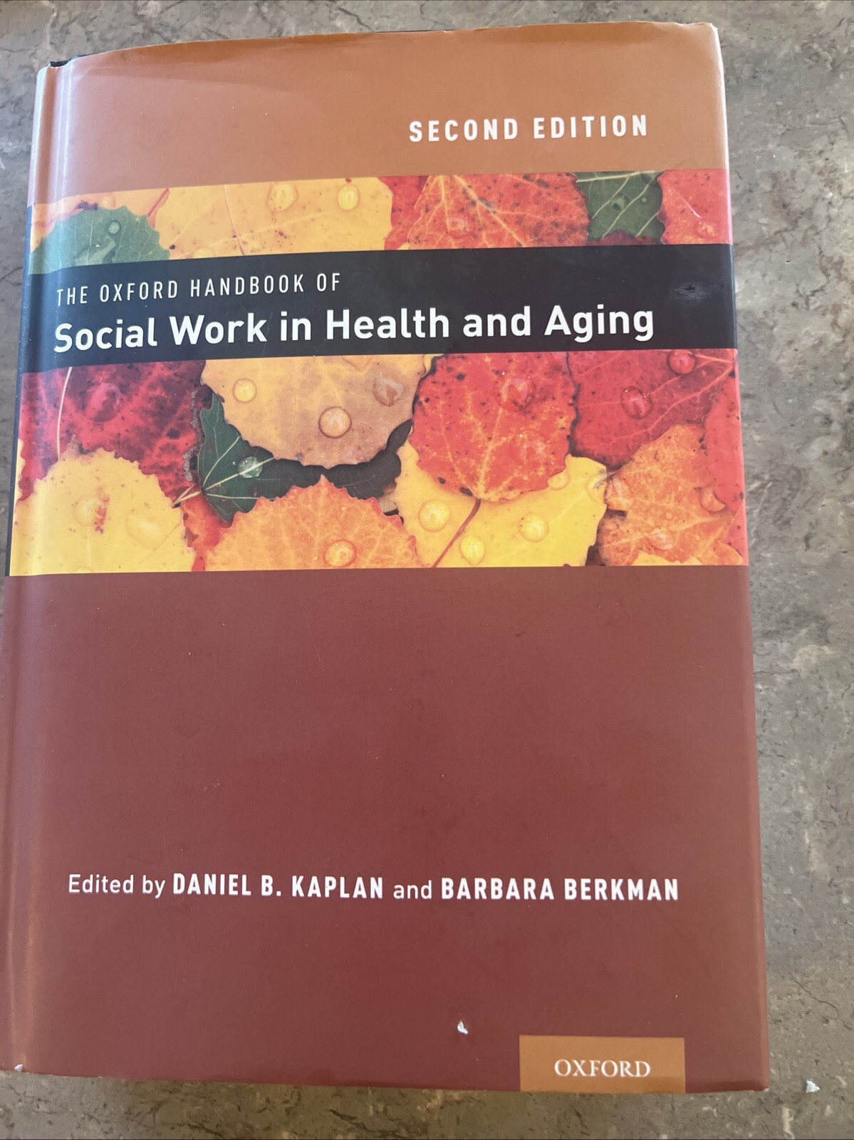 The Oxford Handbook of Social Work in Health and Aging Hardcover 2nd Edition