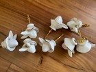 Set of 8 Anthropologie Drawer Pulls Knobs Masquerade Ceramic Bunny NIB — photo 2