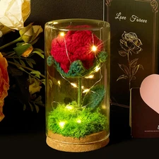 Red Crochet Preserved Rose in Glass Dome with LED Light, Hand-Knitted Flower Gif