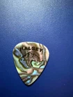 ((( HALSEY ))) guitar pick (one pick) VERY RARE - SALE!!! #4