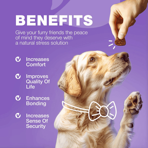 Dog Vitamins 15 in 1 Multivitamin Chews with MSM for Hip Joint Health Support - Picture 7 of 8