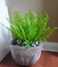4 Pcs Artificial Plant Small Plastic Green Boston Fern Grasses