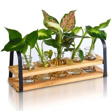 VIKEYHOME Plant Propagation Station with Wood Stand, Desktop Terrarium