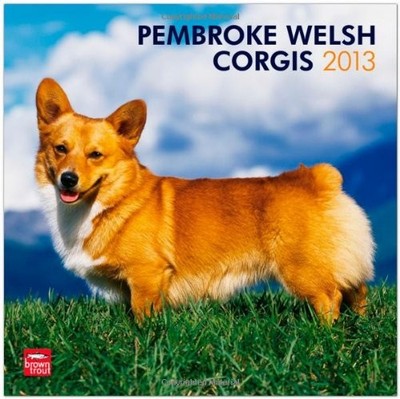 WELSH CORGIS, PEMBROKE 2013 SQUARE 12X12 (MULTILINGUAL By Browntrout Publishers