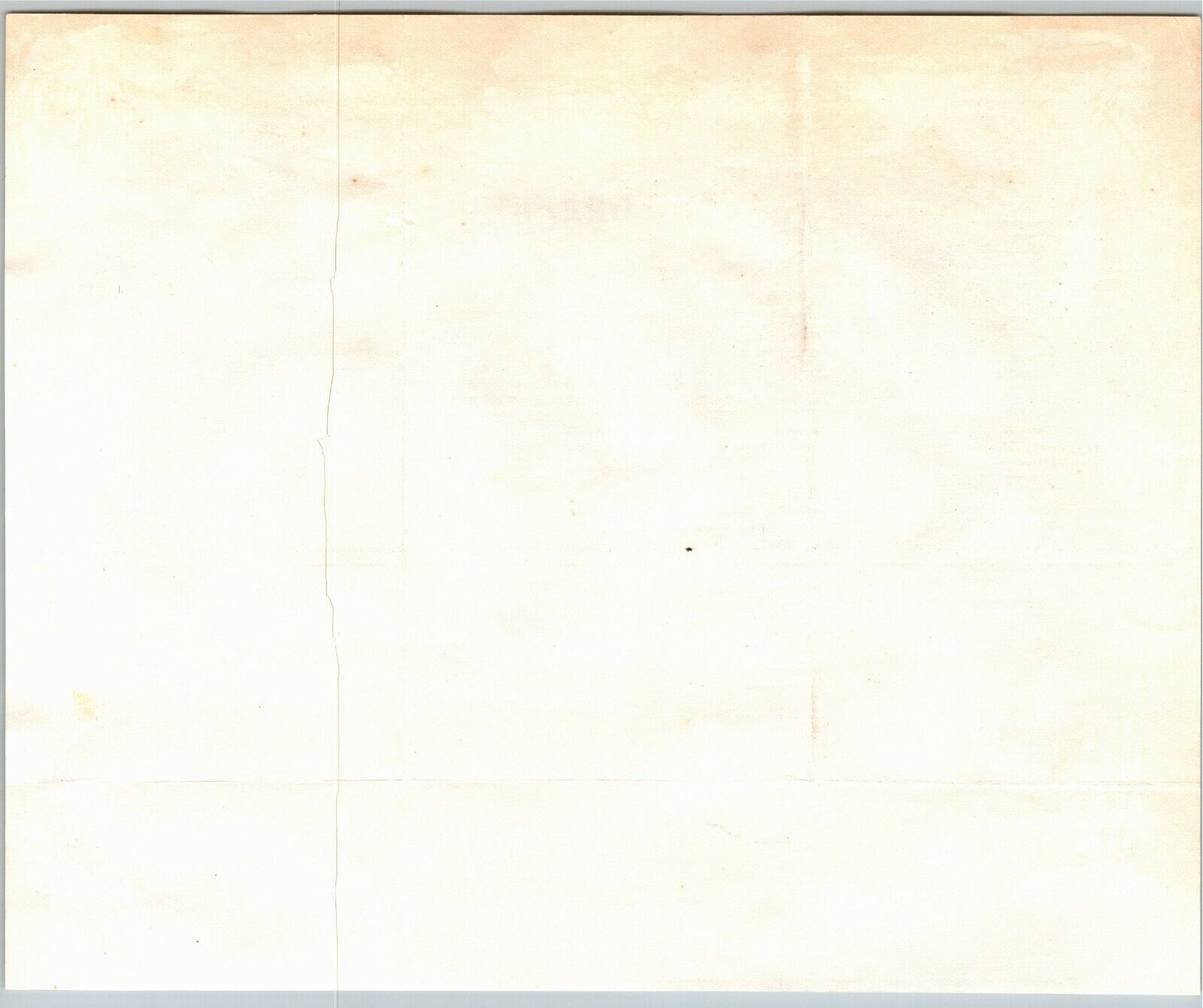 Foto 3 di 3