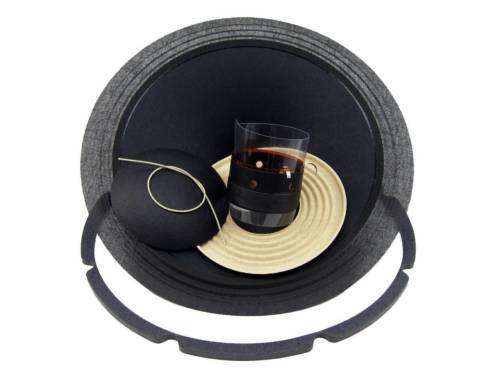 Electro-Voice EVM-12S pro line エレクトロボイス 812 0890 9520 EV