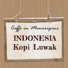INDONESIA KOPI LUWAK WILD GAYO Caffè in monorigine - 250 g