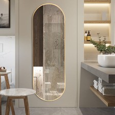 Pill Shape Wall Full Length Mirror Entryway Bedroom Hang Dressing Framed Mirror
