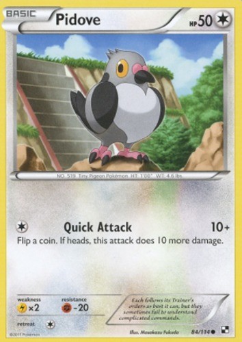 Pidove - 84/114 - Common NM, English Pokemon Black and White