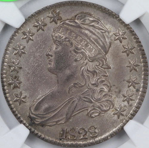 1828 50C Square 2, Small 8, Large Letters Capped Bust Half Dollar NGC MS63