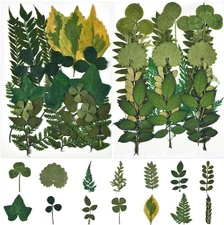 42 PCS 14 Styles Dried Flowers, Pressed Leaves, Natural, Pressed Leaf Art, DIY