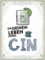 Blechschild 40X30 Cm Gib Deinem Leben Einen Gin Deko Schild Deko Geschenk Schil