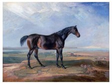 Meadow Racehorse Horse J. Ward Tile Mural Kitchen Wall Backsplash Marble Ceramic