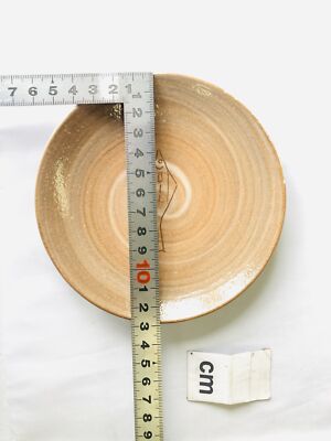 Y4478 DISH Seto-ware serving plate fish signed box Japan antique