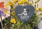 Bild 13 von 13