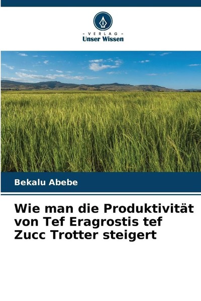 Wie Man Die ProduktivitäT Von Tef Eragrostis Tef Zucc Trotter Steigert Abebe-image