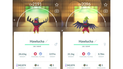  Shiny Hawlucha (Schillernd Resladero) Pokemon GO  Exchange or PTC