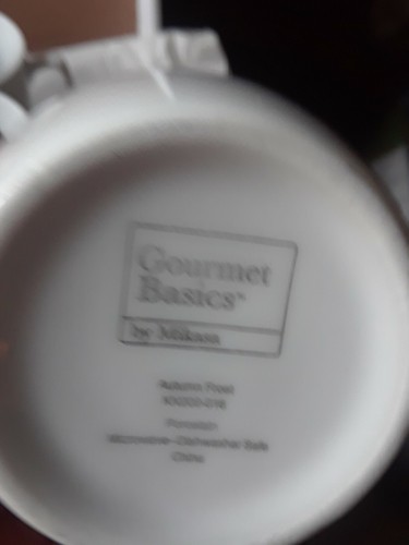 MIKASA GOURMET BASICS AUTUMN FROST 3-7/8" SET OF 4 MUGS - Picture 7 of 12