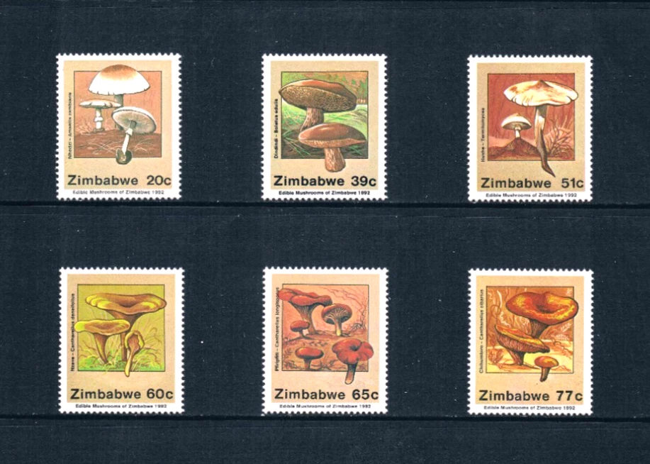 1/3 de descuento valor Scott de $5,50 - 1992 setas hongos africanos CV MNH NH UMM Foto 3 de 4