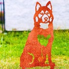 Bild 50 von 50