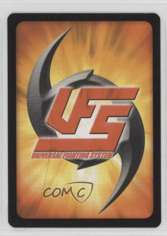 Universal Fighting System (UFS) 2007 - Street Fighter: Fight for the Future Foto 2 de 2