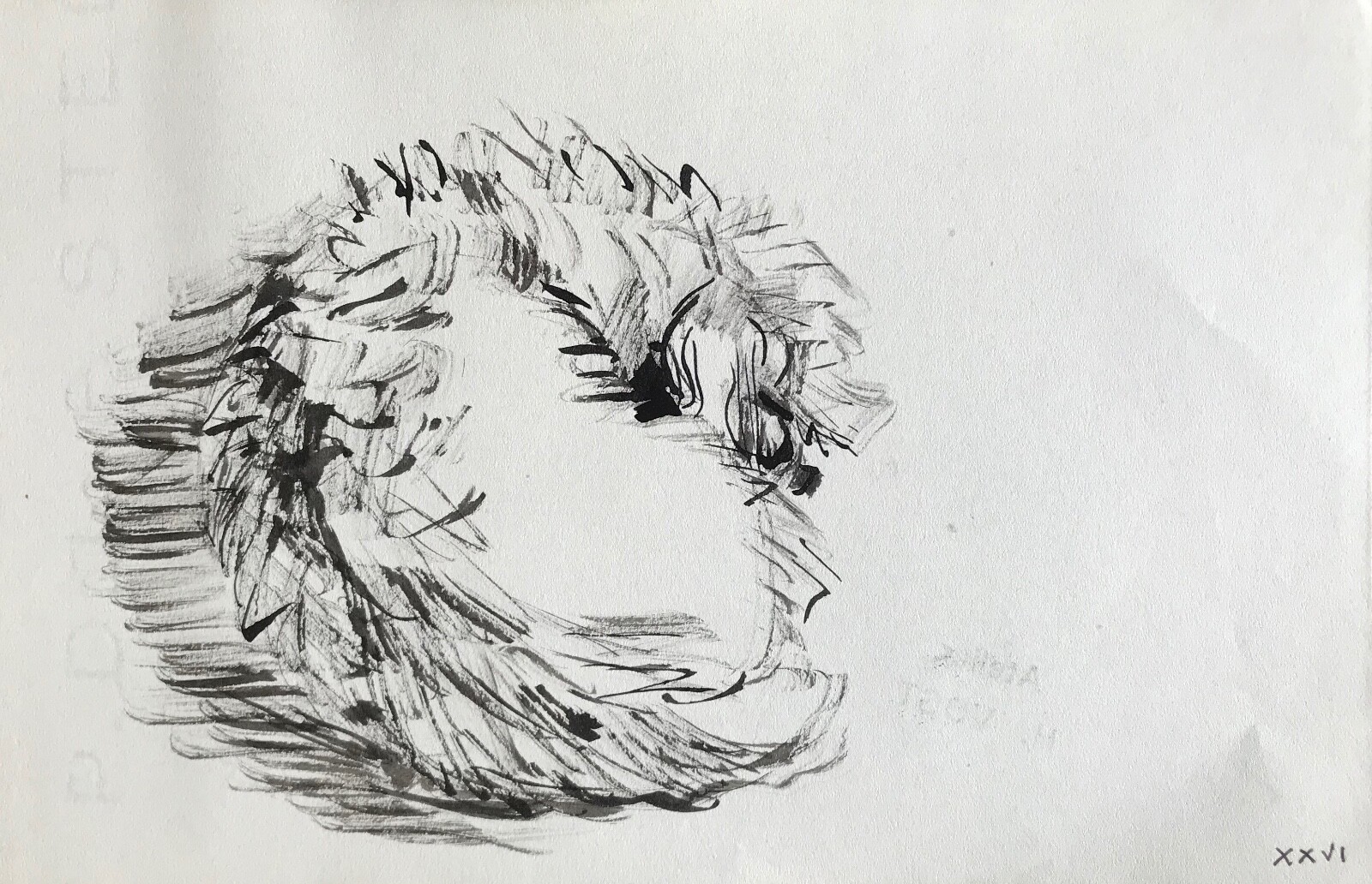 Hélène Vogt Original Ink Drawing of a Dog Artwork 8