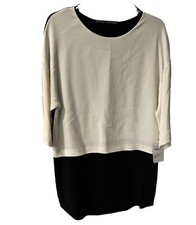 Zara Basic Dress Womens Small Colorblock Shift Contrast timeless feminine New