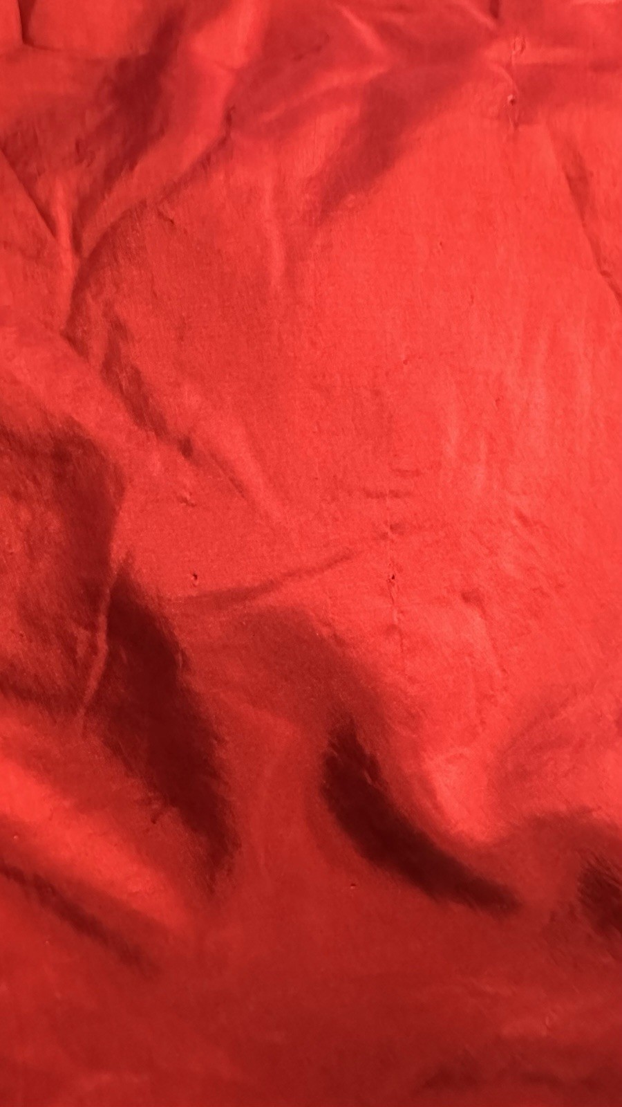 Picture 20 of 20