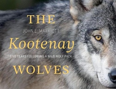 The Kootenay Wolves - 9781771604949