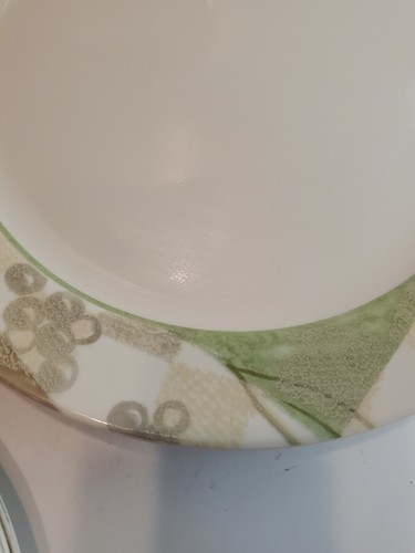 Corelle USA 10-teiliges Konvolut STRUKTURIERTE BLÄTTER 8 Teller und 2 Servierteller EUC - Bild 15 von 24