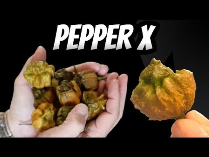 10 Semi Di Pepper X - Non Ufficiale, Piccantezza 3.180.000 SHU, Peperoncino Ultra Piccante - Foto 13