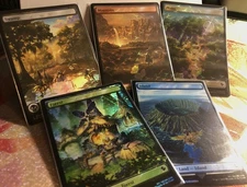 Magic The Gathering-Final Fantasy Chocobo Track Stamped Foil Lands Set Of 5 NM✨ 