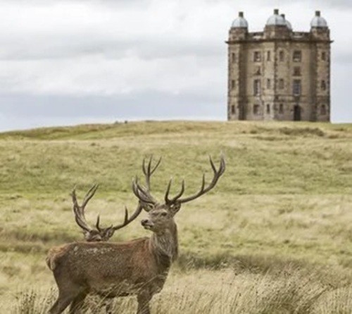 National Trust Birthday Card Lyme House Park Cheshire - Luxury Greeting Card
