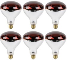 Westinghouse 6 Count 250W R40 Red Infrared Heat Lamp Bulbs