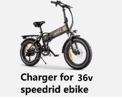 Electric Bike Scooter battery Charger for speedrid 20" ebike