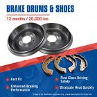 <!--F#f_0-->Rear Brake Drums + Brake Shoes for Isuzu D-MAX Holden Colorado R2015<!--F/-->