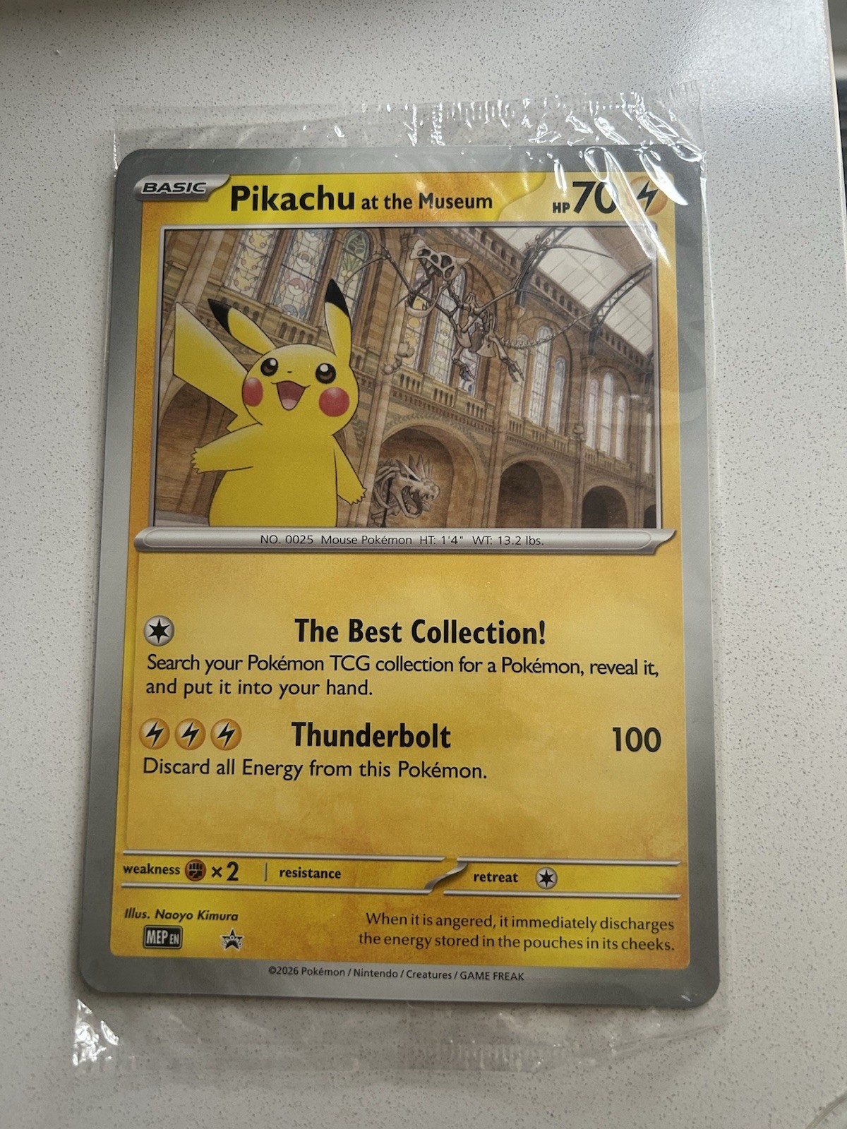 Pokémon Pikachu At The Museum Promo Card