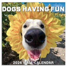 2026 Wall Calendar - JAN 2026 - DEC 2026, Funny Dog Calendar 2026, 12" x 24" ...