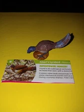 "NEW" YOWIE... .. Albert's Lyrebird